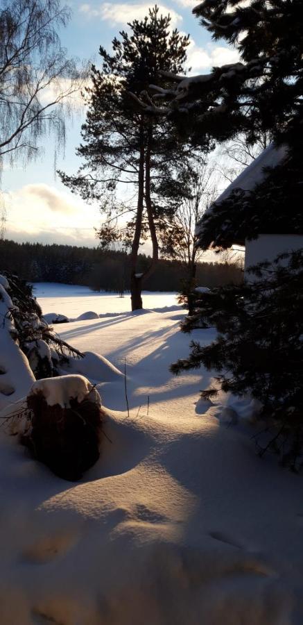Apartman Jafi Lipno Nad Vltavou Luaran gambar